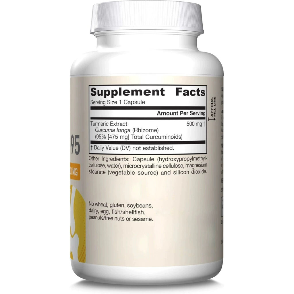 Curcumin 95 Supplement