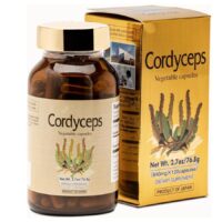 Cordyceps