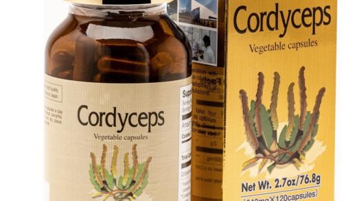 Cordyceps