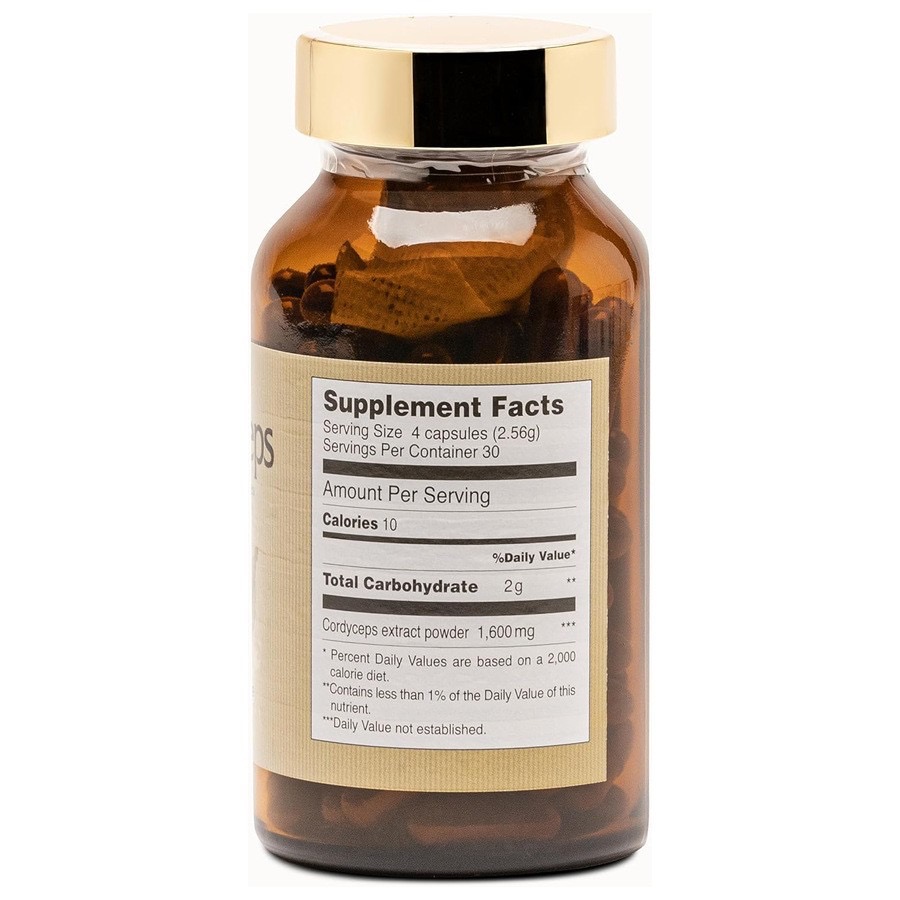 Cordyceps Supplements 